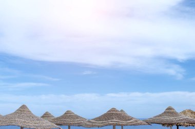 Sahil boyunca dizilmiş saman şemsiyeli huzurlu sahil manzarası. Parlak gökyüzü ve nazik dalgalar barışçıl bir tatil ortamı yaratıyor.