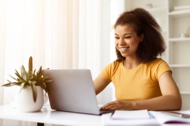 Masasında dizüstü bilgisayarla çalışan gülümseyen Afro-Amerikan bir kadın. Parlak odada en az dekor ve saksı bitkisiyle oturan mutlu siyah bir kadın.