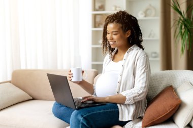 Neşeli siyah hamile kadın evde dizüstü bilgisayar kullanıyor ve sıcak kahvenin tadını çıkarıyor. Rahat ve üretken anlar, doğum öncesi konfor, teknoloji ve günlük dijital yaşam tarzını birleştiriyor.