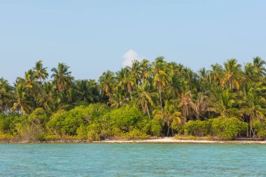 Okyanusta sığ bir göl ve Hindistan cevizi palmiyelerinin yoğun bitki örtüsüyle uzak tropik ada cenneti.