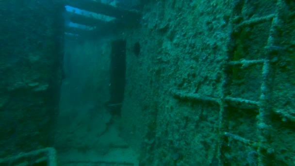 在有走廊和门口的大型水下沉船残骸外游泳的水肺潜水 — 图库视频影像