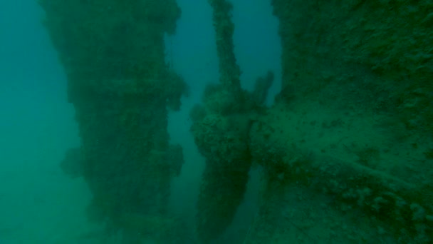 スキューバダイビングは プロペラと舵で大きな水中沈没深い難破船の外に沿って泳ぐ — ストック動画