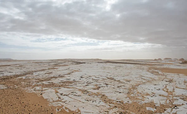 Landscape scenic view of desolate barren western desert in Panoramic barren landscape in Egypt Western White desert with overcast sky