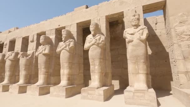 埃及卡纳克卢克索古埃及拉姆斯3神殿的象形文字雕刻和柱子雕像 — 图库视频影像