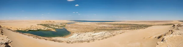 带绿洲盐湖池的偏远非洲埃及沙漠景观山谷的全景空中景观 — 图库照片
