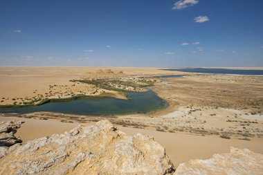 Afrika 'nın uzak çöllerinde vaha tuz gölü ve havuzları olan panoramik hava manzarası.