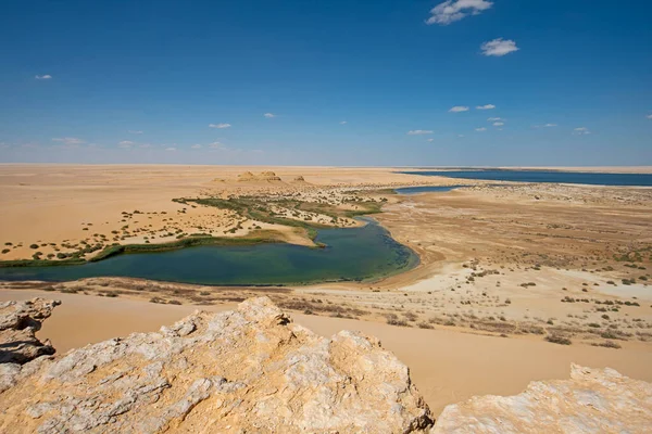 Panorama Luftaufnahme Über Entlegene Afrikanische Wüstenlandschaft Tal Mit Oase Salzsee — Stockfoto