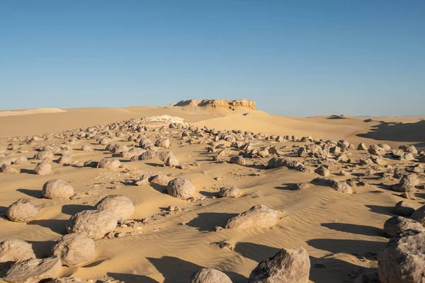 Paisagem Vista Cênica Deserto Ocidental Árido Desolado Egito Com Nódulos — Fotografia de Stock
