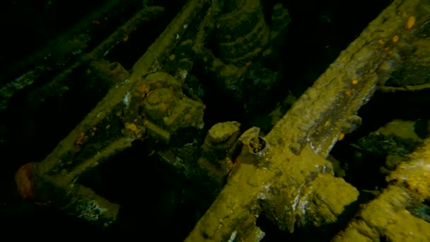 Scuba潜水带着引擎摇杆和活塞在大型水下沉船中游泳 — 图库视频影像