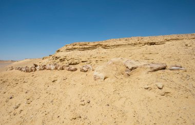Landscape scenic view of desolate barren western desert in Egypt with geological mountain sandstone rock formations and fossilised whale skeleton clipart