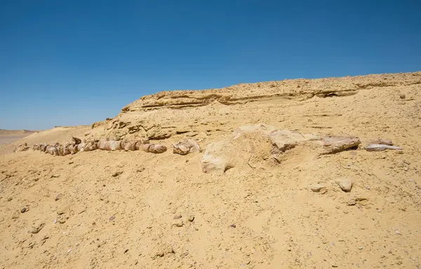 埃及荒芜荒芜的西部沙漠景观景观 地质山地砂岩岩层与松软的鲸骨架 图库图片