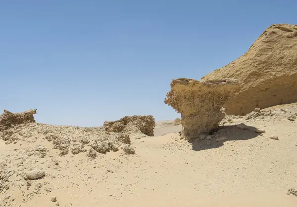 埃及荒芜荒芜的西部沙漠景观景观 地质砂岩岩层和松软红树林 图库图片