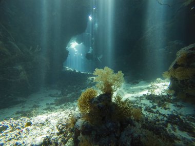 Su altındaki mağaralarda, kaya duvarları ve dalış yapan dalgıçlarla yüzeyden dans eden güneş ışınlarının manzara görüntüsü