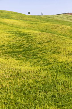Toskana İtalya 'nın yeşil alanları