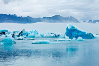 İzlanda'daki mavi icebergs
