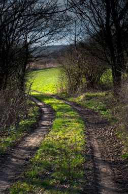 Kırsaldaki eski toprak yol. Yayalar ve tarım makineleri için uygun bir yol.