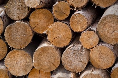 Kesilmiş odun ısıtmaya hazır. Ayrıntılı görünüm.