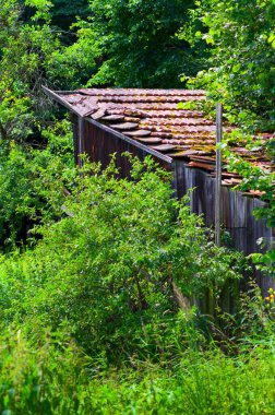 Eski ve hasarlı bahçe kulübesi. Bu kulübe terk edilmiş ve harap olmuş bir bahçede duruyor..