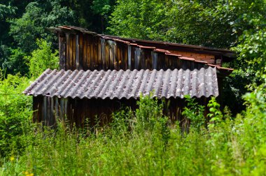 Eski ve hasarlı bahçe kulübesi. Bu kulübe terk edilmiş ve harap olmuş bir bahçede duruyor..