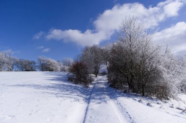 Moravian Karst 'ın kışın karlı manzarası. Güney Moravya, Çek Cumhuriyeti.