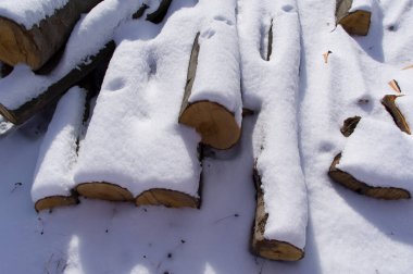 Kayın denilen karla kaplı ağaç gövdeleri. İleriki işlemler için hazırlanmış bir depo..