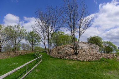 Çiçek açan ağaçlarla bahar manzarası. Sosuvka köyü, Güney Moravya, Çek Cumhuriyeti.