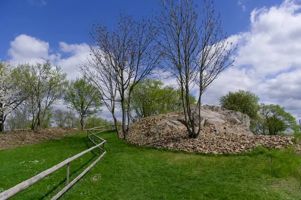Çiçek açan ağaçlarla bahar manzarası. Sosuvka köyü, Güney Moravya, Çek Cumhuriyeti.