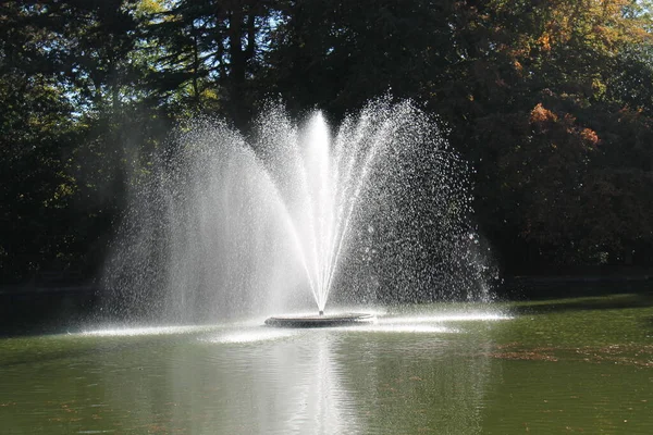 stock image An Impressive Ornamental Water Fountain in a Large Pond.