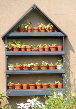 A Flower Pot and Plant Collection on a Wooden Frame.