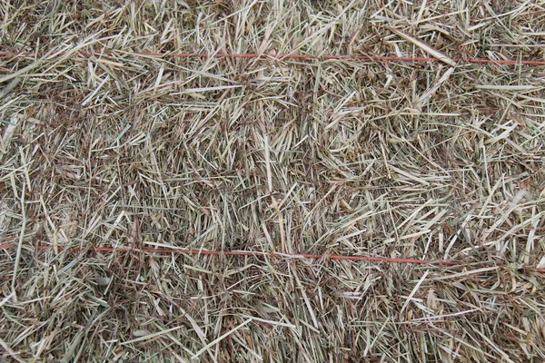 Een Achtergrond Afbeelding Van Een Farm Bale Van Meadow Hay — Stockfoto