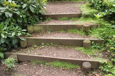 Woodland Yolu 'nda birkaç Dug Out Adımları.