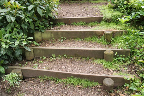 Some Dug Out Steps Woodland Pathway — Stock Photo, Image
