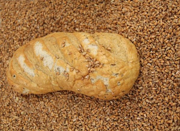 Ein Laib Brot Liegt Auf Einem Bett Dem Weizen Gemahlen — Stockfoto