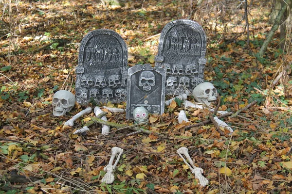 Skeleton Bones Skulls Graves Woodland Setting — Fotografia de Stock