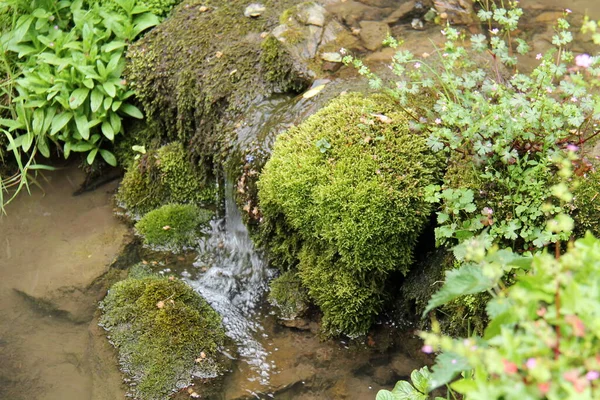 Una Bonita Cascada Jardín Cubierto Musgo — Foto de Stock