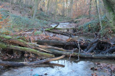 Bir Sızıntı Barajı - Sel Önleme Projesinin Bir Parçası.