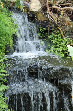 Bir Orman Irmağı 'nda Adımlı Şelale.
