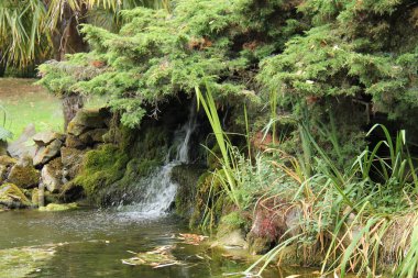 Bir Rocky Moss Bahçe Ayarında Kaplanmış Şelale.