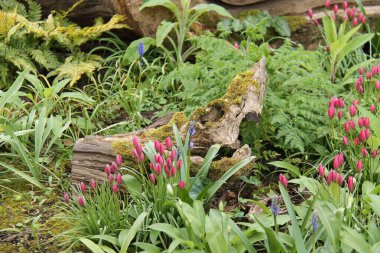 The Flowers Surrounding a Decorative Wooden Tree Stump. clipart