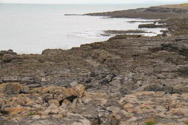 Bir Kıyı Okyanusu Koyu 'nun Rocky Shoreline' ı.