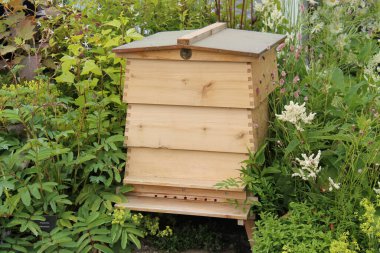 Meşgul Çiçek Bahçesindeki Modern Tahta Arı Kovanı.