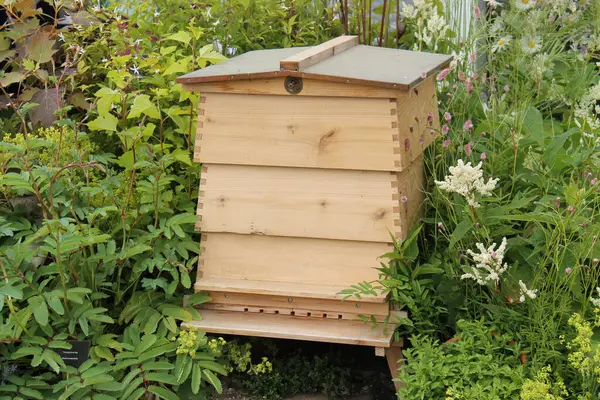 Meşgul Çiçek Bahçesindeki Modern Tahta Arı Kovanı.