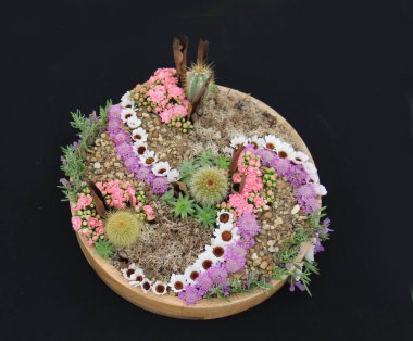 Yuvarlak Taş Ot 'ta Alp Bitkilerinin Düzenlenmesi.