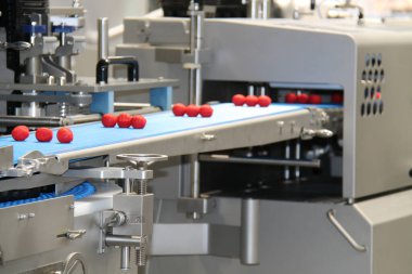 Otomatik Gıda Üretim Makinesi Çalışan Ekranı.