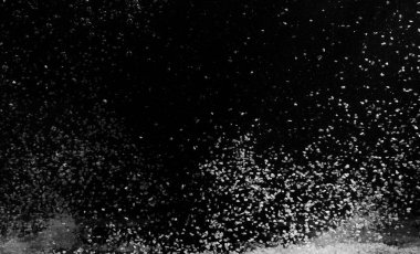 Pirinç taneleri siyah arkaplanda siyah bir yüzeye düşer. .