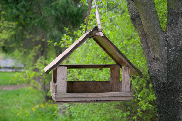 Uma Casa Pássaros Forma Uma Casinha Aconchegante Pendura Uma Árvore — Fotografia de Stock
