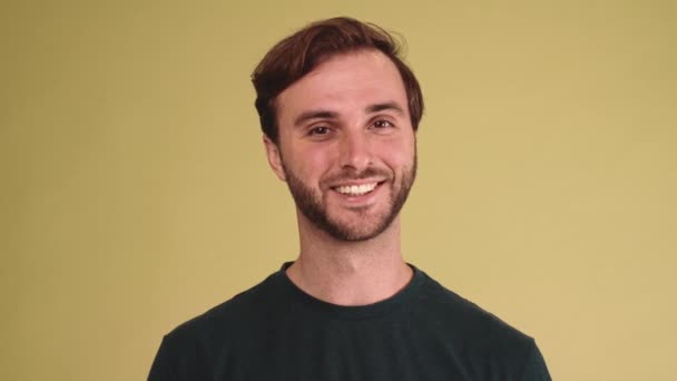 Positive Brunet Young Man Wearing Shirt Looking Camera Yellow Studio — Stock Video