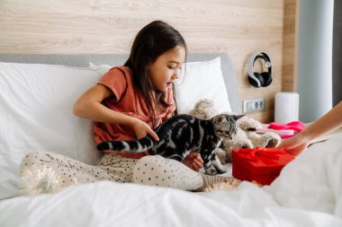 Asian girl playing with her kitten while sitting on bed at home