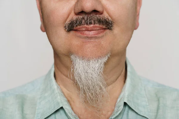 Mature Man Grey Beard Posing Looking Camera Isolated White Background — Stock Photo, Image