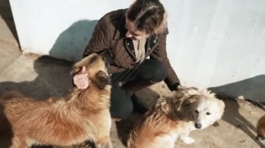 Neşeli sarışın kadın binici dışarıda köpekleri okşuyor.